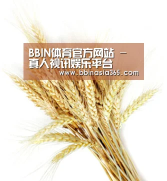 BBIN体育官方网站 - 真人视讯娱乐平台