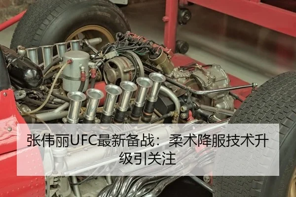 张伟丽UFC最新备战：柔术降服技术升级引关注